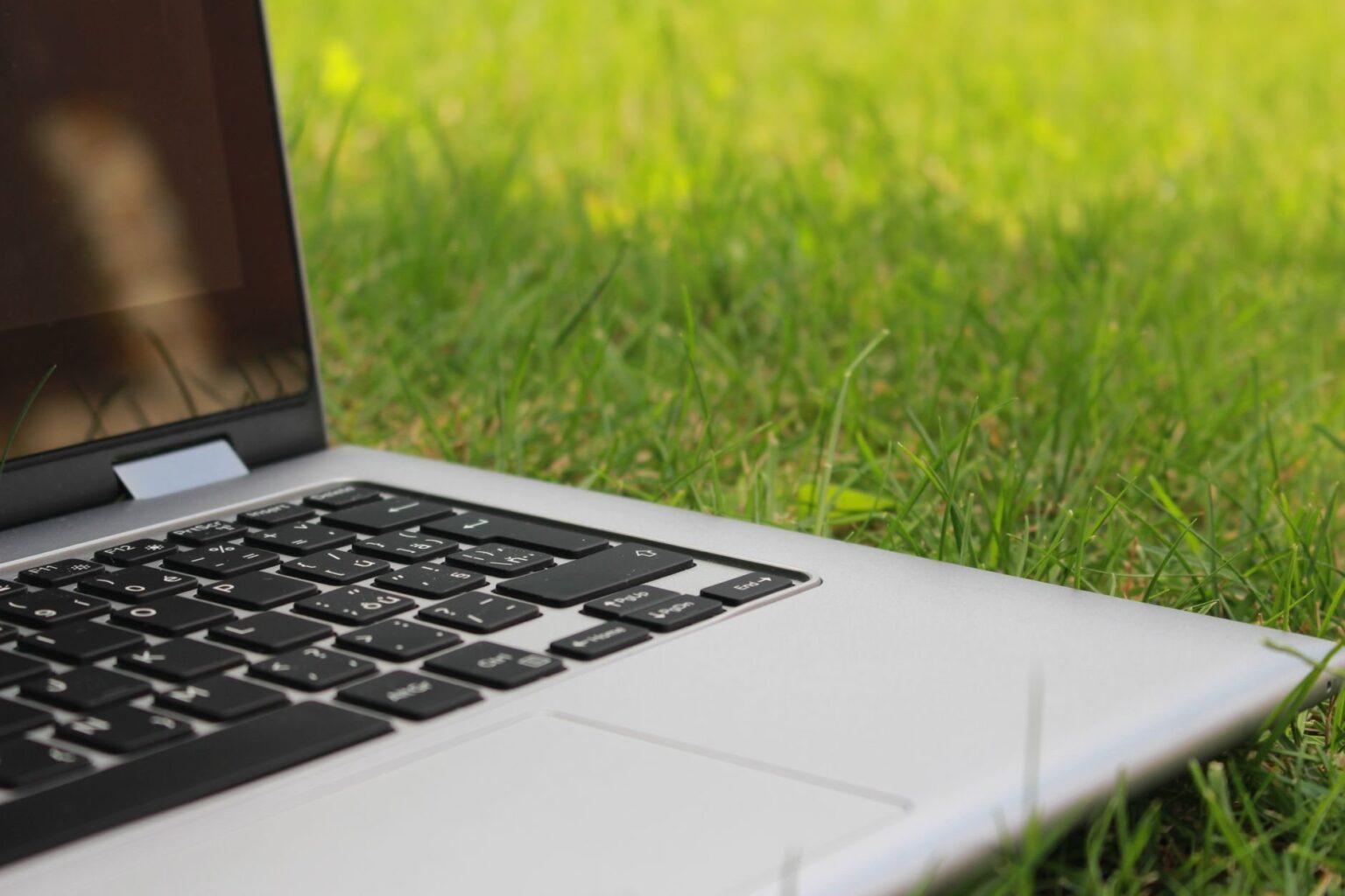 Professionelle Website erstellen: So gelingt es